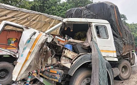 वाहन अनियंत्रित होकर 100 मीटर गहरी खाई में गिर गया।