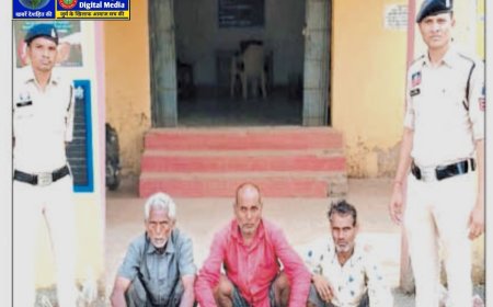 बैलो  की तस्करी करते तीन आरोपी गिरफ्तार।। देखिए पूरी खबर