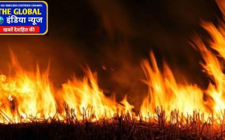 बसना : किसानों के पराली जलाने पर होता है वायु प्रदुषण, व्यापारी नगर में रोज लगा रहे आग, प्रशासन ने मुंदी आँख कोई कार्रवाई नही!