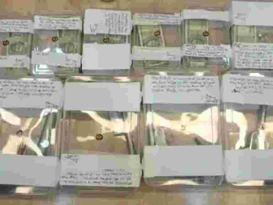 डकैती-कांड के 50 हजार के इनामी को एसटीएफ ने पकड़ा:सीतापुर में रिटायर्ड लेखपाल के घर डकैती करने का आरोपी, 32 मुकदमे दर्ज; असलहा बरामद