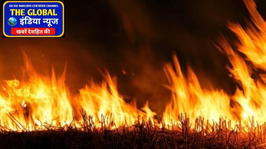 बसना : किसानों के पराली जलाने पर होता है वायु प्रदुषण, व्यापारी नगर में रोज लगा रहे आग, प्रशासन ने मुंदी आँख कोई कार्रवाई नही!