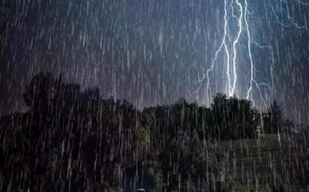 अगले 48 घंटे वाकई अहम हैं। मानसून की एंट्री के साथ छत्तीसगढ़ में बारिश का पैटर्न बदल गया है।