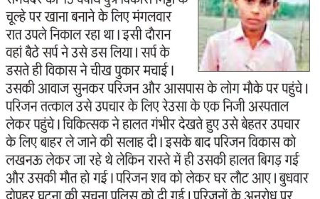 सीतापुर में सांप काटने से किशोर की मौत इलाज के लिए ले जाते समय बिगड़ी हालत: